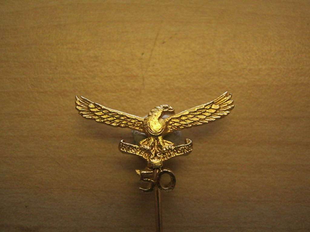 SAAF 50th anniversary pin badge.